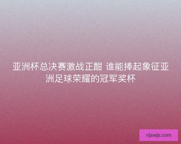 亚洲杯总决赛激战正酣 谁能捧起象征亚洲足球荣耀的冠军奖杯