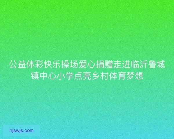 公益体彩快乐操场爱心捐赠走进临沂鲁城镇中心小学点亮乡村体育梦想