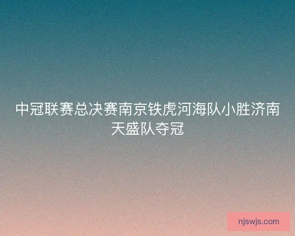 中冠联赛总决赛南京铁虎河海队小胜济南天盛队夺冠